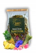 Herbata Premium EGZOTYCZNA - zielona Sencha, ananas, trawa cytrynowa 50g Herbata Premium EGZOTYCZNA - zielona Sencha, ananas, trawa cytrynowa 50g