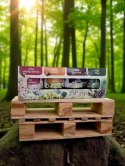 Zestaw 4x 40g Miód wielokwiatowy lipowy gryczany leśny - prezent, upominek Zestaw 4x 40g Miód wielokwiatowy lipowy gryczany leśny - prezent, upominek